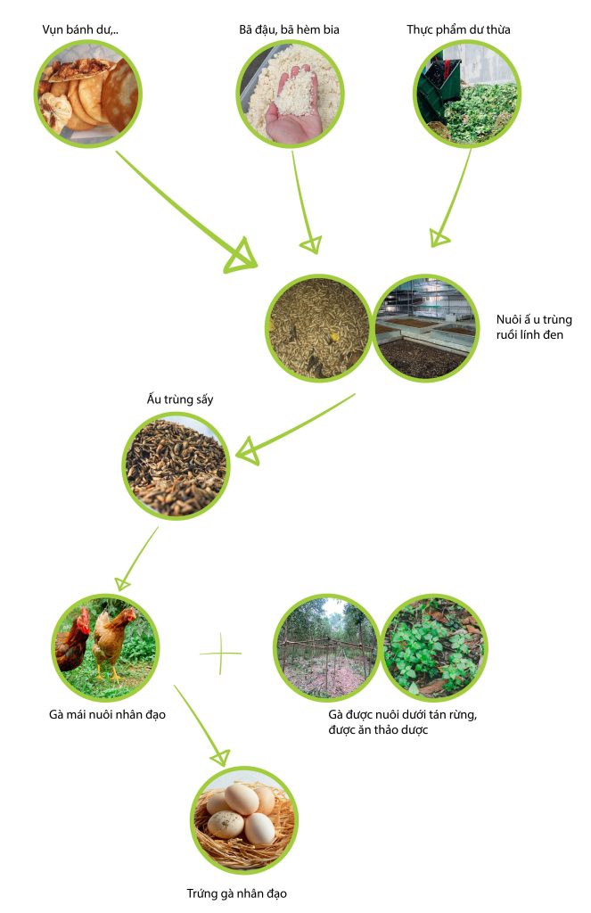 Mondelez Kinh Đô Và Green Connect Ký Kết Hợp Tác Triển Khai Giải Pháp Xử Lý Rác Hữu Cơ Thành Gà Và Trứng Gà (2)